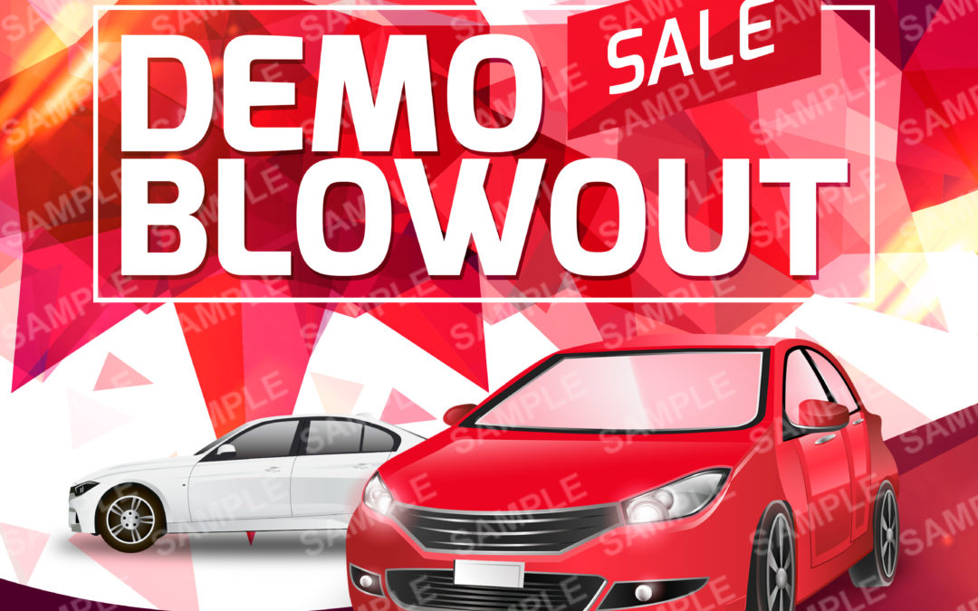 Demo Blowout Sale